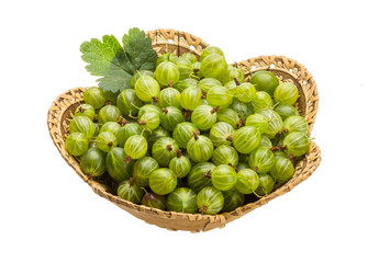Gooseberry