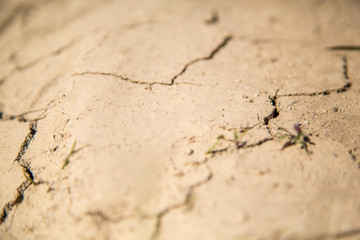 Dry soil