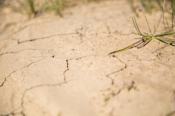 Dry soil