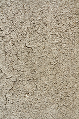Part of the old wall