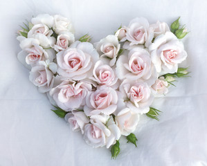 White roses flowers heart shape on white cloth background.
