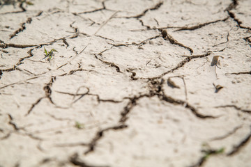 Dry soil