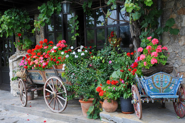 Fototapeta na wymiar Flowers in the Carts and Planters