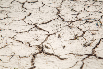 Fototapeta premium Dry soil