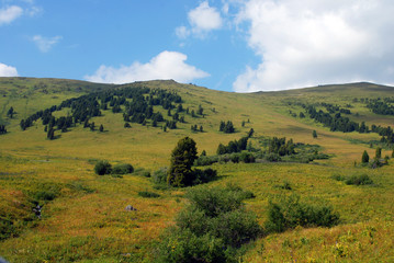 Fototapeta premium The Vastness Of Altai