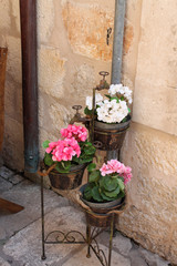 Fototapeta na wymiar Vintage flower pots