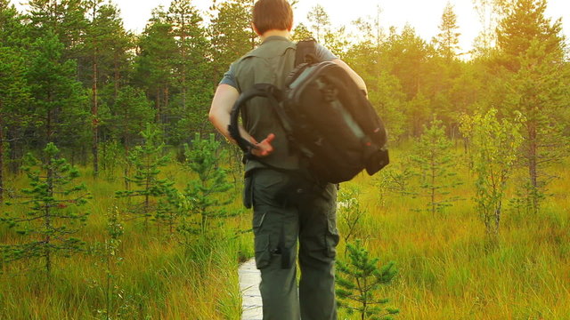 Tourist walking on path in forest.