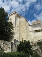 Obraz premium Indre-et-Loire - Loches - Donjon et fortifications