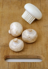 White mushrooms with brush