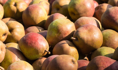 Many red pears from close
