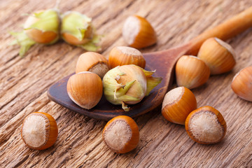 Frische Haselnüsse auf Kochlöffel