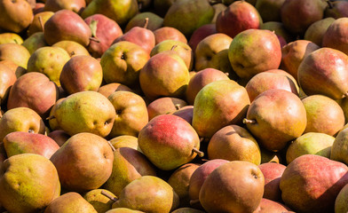 Many red pears from close