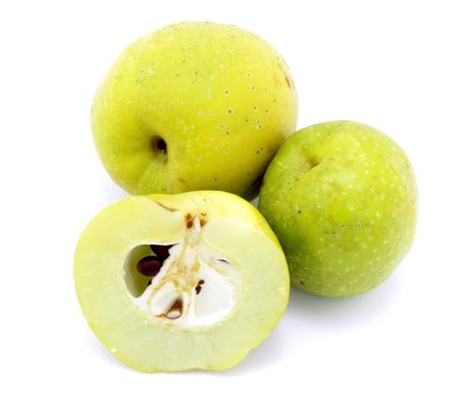 pigwa