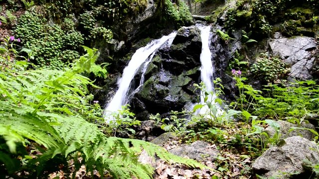 waterfall deep in the forest with a clean water