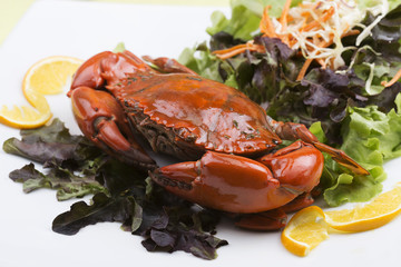 Fresh Steam red crab