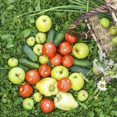 Vegetables and fruits spilled from basket on the grass.