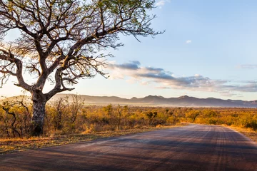 Fototapeten Afrikanische Landschaft © Maurizio De Mattei