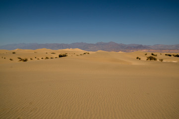 sand dune landscape Death Valley National Park