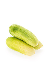 Cucumber