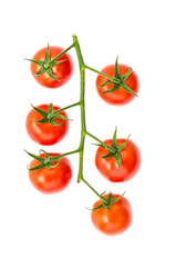 Tomato isolated on white