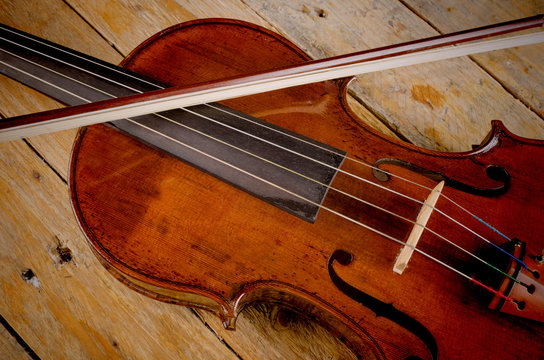 Violin