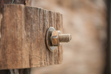 metal screw in wood
