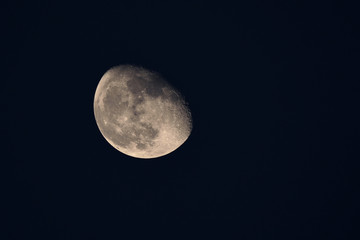 Waning gibbous