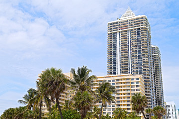 Fototapeta na wymiar Palms and modern buildings of Miami Beach waterfront.