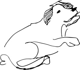 black and white sketch of a pet dog