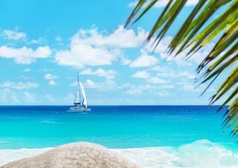 Beach with yacht and palm. Anse Georgette, Praslin, Seychelles