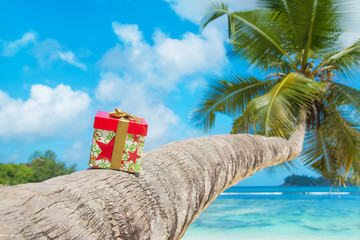 Holiday gift box with bow on palm tree at exotic tropical beach