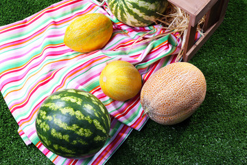 Melons and watermelons