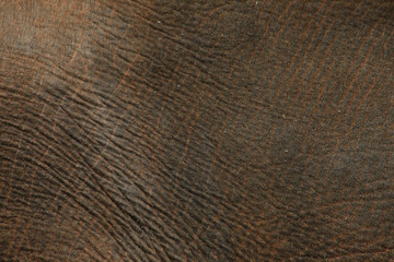 Elephant skin texture
