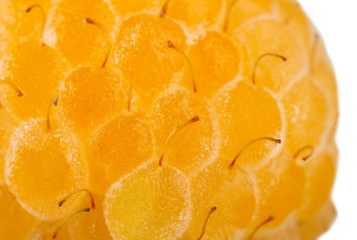 Raspberries close-up