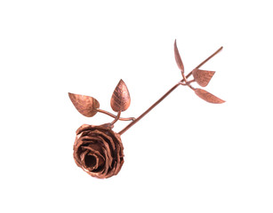 Beautiful bronze rose.