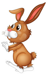 Fototapeta na wymiar Easter rabbit