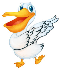 Pelican