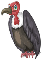 Vulture