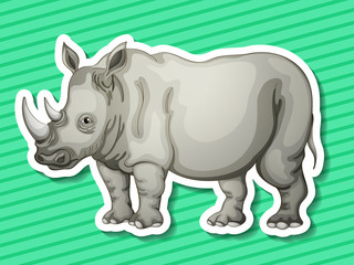 Rhino