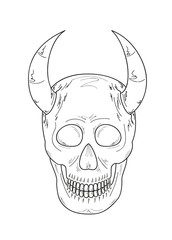 sketch of the skull with horns