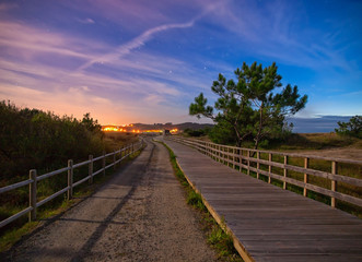 Wooden boardwalk and trail in the night