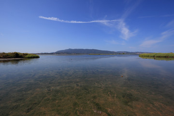 Orbetello Lagoon, Tuscany, Italy