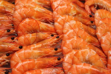 Obraz na płótnie Canvas boiled Shrimp