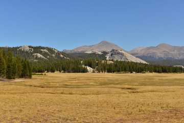 Fototapeta premium Yosemite National Park in September 2014
