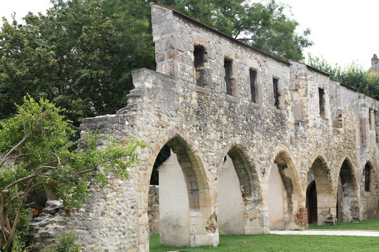ruines dans un pard de reims
