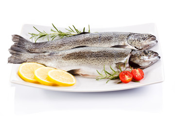 Fresh raw trout on white background