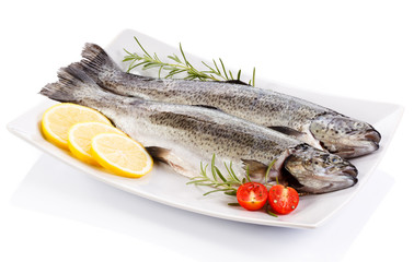 Fresh raw trout on white background