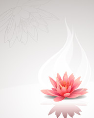Lotus flower - 70149382