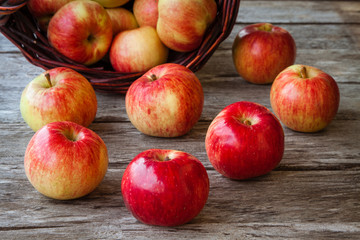Fototapeta na wymiar organic ripe red apples