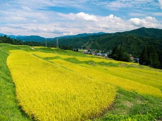 魚沼　棚田